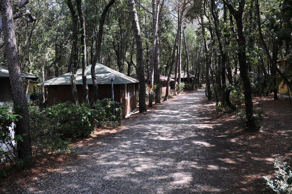 Villaggio Club Cecina Марина-ди-Чечина Экстерьер фото