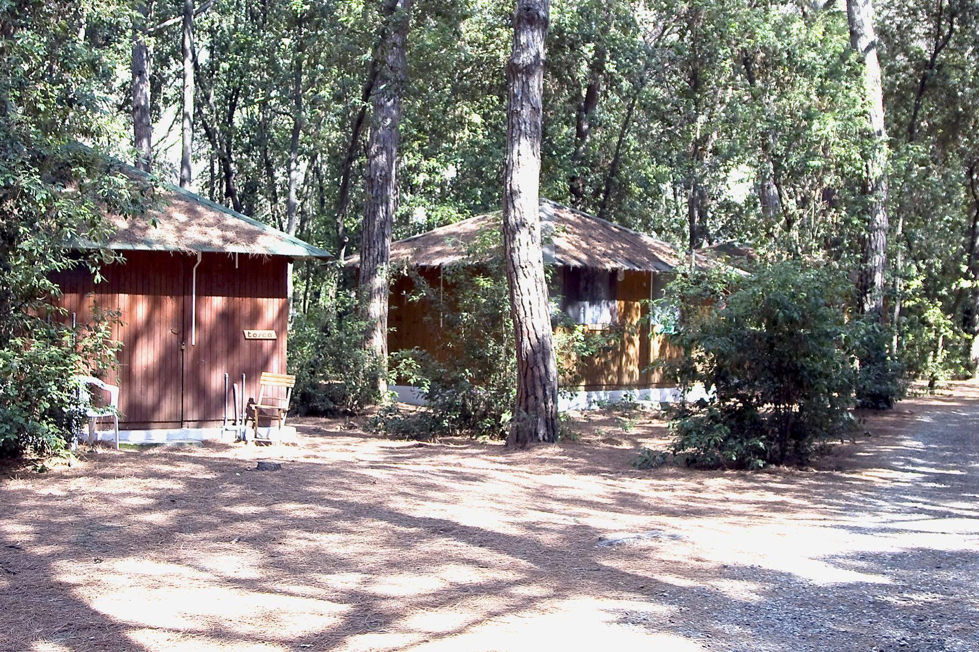 Villaggio Club Cecina Марина-ди-Чечина Экстерьер фото